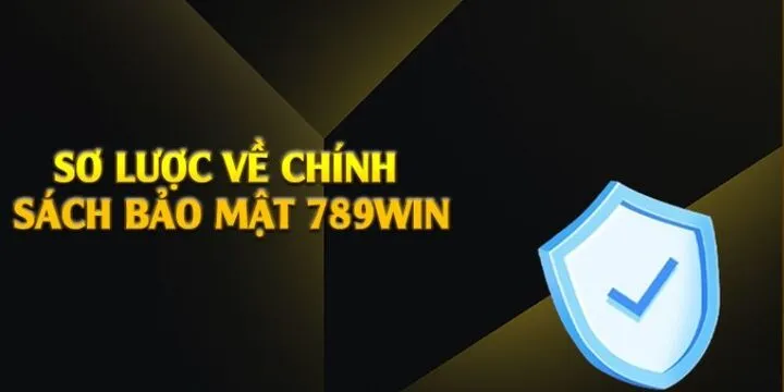 Tìm hiểu về chính sách bảo mật 789win