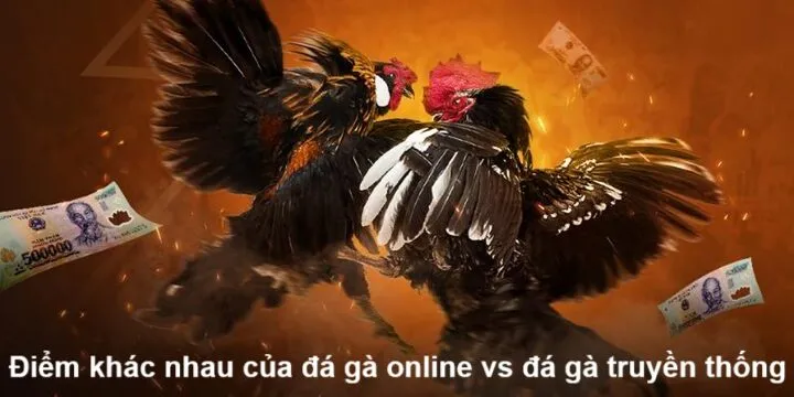 Điểm giống nhau của đá gà online vs đá gà truyền thống