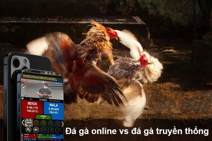 Đôi điều cần biết về đá gà online vs đá gà truyền thống