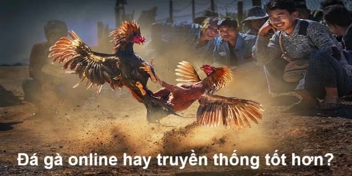 Điểm giống nhau của đá gà online vs đá gà truyền thống