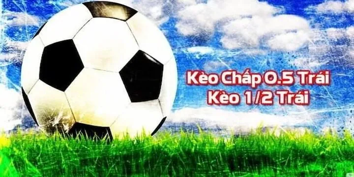 Kinh nghiệm đọc kèo chấp 0.5 cho hội viên mới