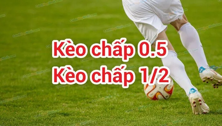 Tìm hiểu nhanh và chính xác về kèo 0.5