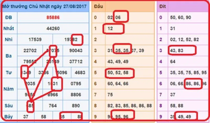 Cách nhận biết và bắt Lô quả trám