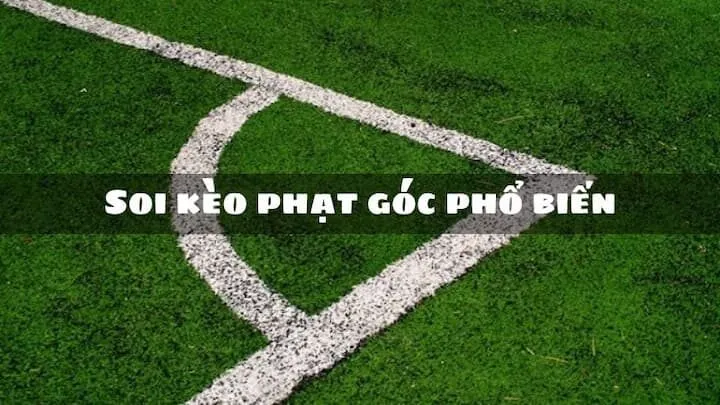 Soi kèo phạt góc hiệu quả cho tân thủ